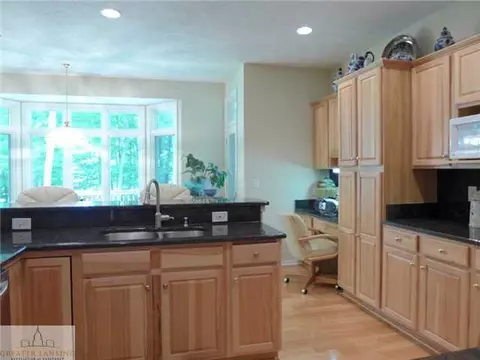13474 Speckledwood Dr, Dewitt, MI 48820 photo 10