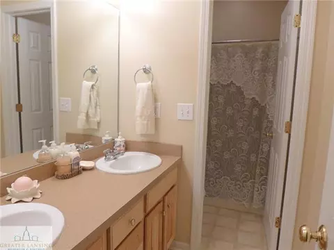 13474 Speckledwood Dr, Dewitt, MI 48820 photo 19
