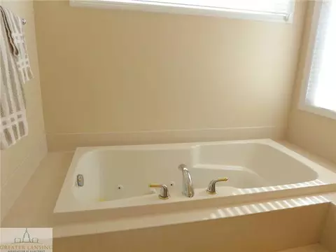 13474 Speckledwood Dr, Dewitt, MI 48820 photo 16