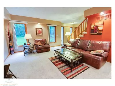 4233 Driftwood Dr, Dewitt, MI 48820 photo 8