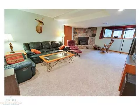 4233 Driftwood Dr, Dewitt, MI 48820 photo 20
