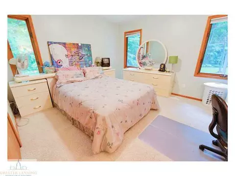 4233 Driftwood Dr, Dewitt, MI 48820 photo 16