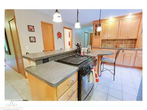 4233 Driftwood Dr, Dewitt, MI 48820 photo 11