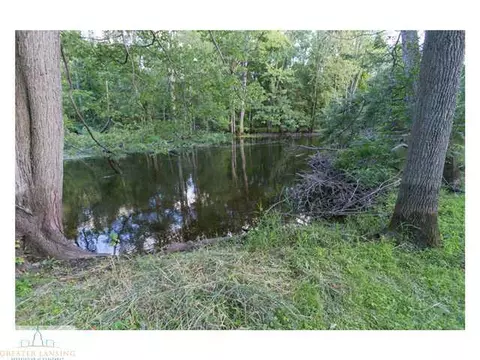 4233 Driftwood Dr, Dewitt, MI 48820 photo 25