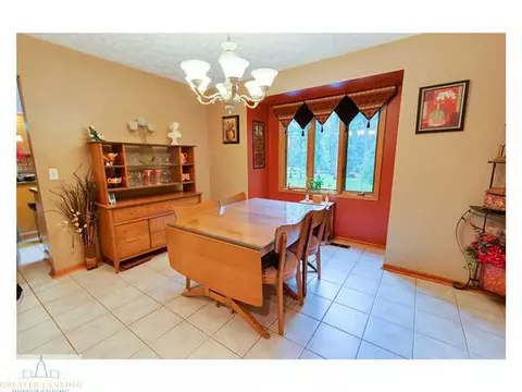 4233 Driftwood Dr, Dewitt, MI 48820 photo 9