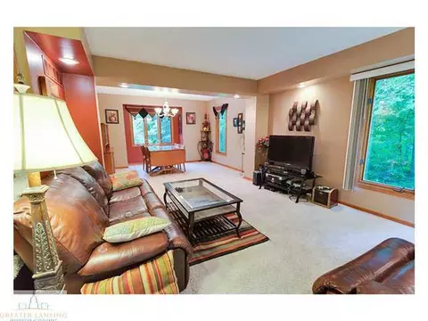 4233 Driftwood Dr, Dewitt, MI 48820 photo 7