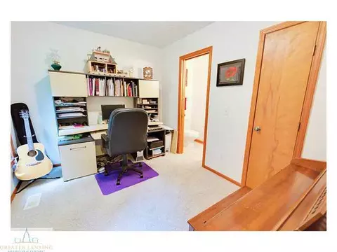 4233 Driftwood Dr, Dewitt, MI 48820 photo 15