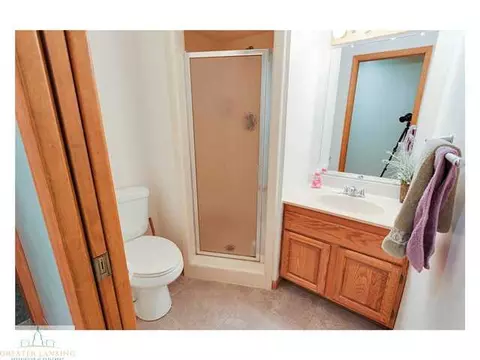 4233 Driftwood Dr, Dewitt, MI 48820 photo 22