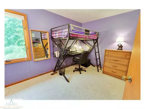4233 Driftwood Dr, Dewitt, MI 48820 photo 17