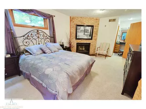 4233 Driftwood Dr, Dewitt, MI 48820 photo 13