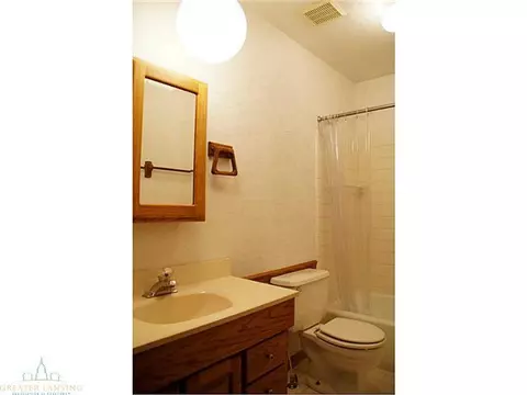 108 Manchester, Dewitt, MI 48820 photo 22
