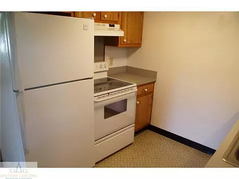 108 Manchester, Dewitt, MI 48820 photo 6