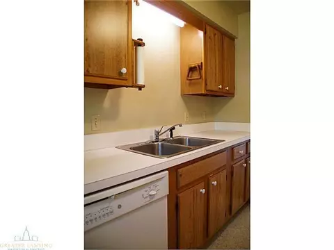108 Manchester, Dewitt, MI 48820 photo 16