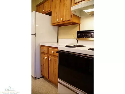 108 Manchester, Dewitt, MI 48820 photo 17