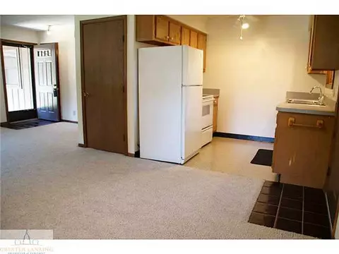 108 Manchester, Dewitt, MI 48820 photo 5