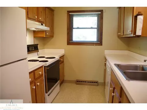 108 Manchester, Dewitt, MI 48820 photo 15