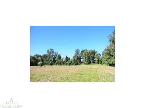 4431 Beeman Rd, Williamston, MI 48895 photo 19