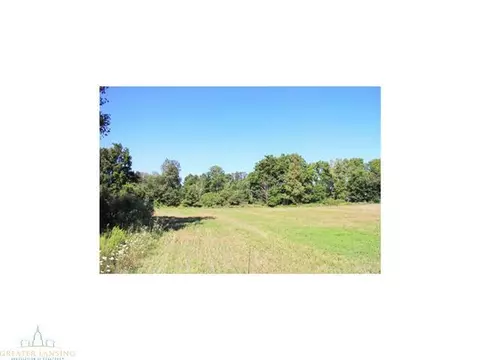 4431 Beeman Rd, Williamston, MI 48895 photo 13