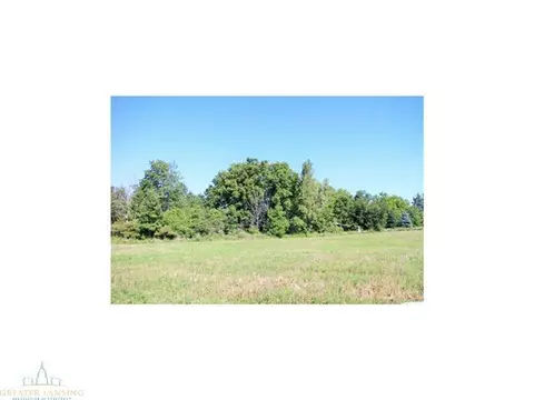 4431 Beeman Rd, Williamston, MI 48895 photo 15