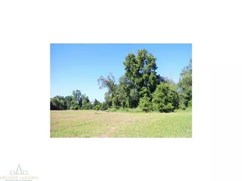 4431 Beeman Rd, Williamston, MI 48895 photo 16