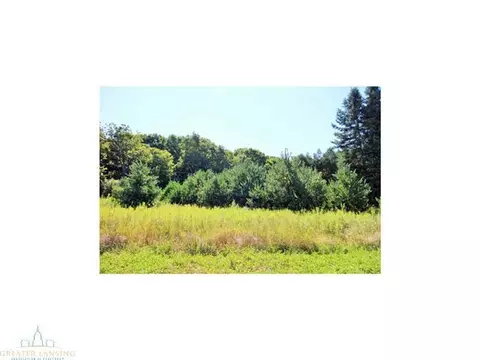 4431 Beeman Rd, Williamston, MI 48895 photo 10