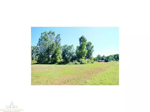 4431 Beeman Rd, Williamston, MI 48895 photo 24