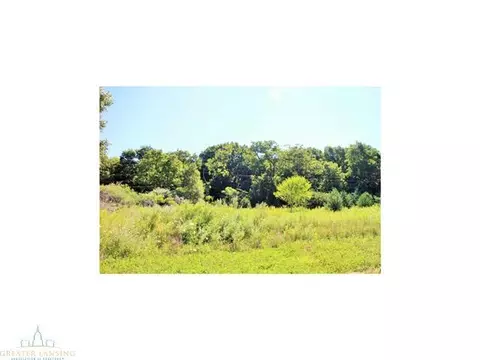 4431 Beeman Rd, Williamston, MI 48895 photo 9