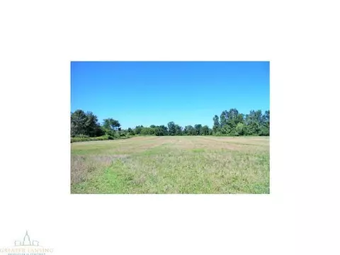 4431 Beeman Rd, Williamston, MI 48895 photo 11