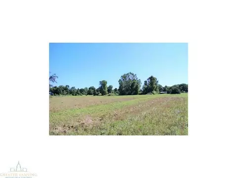 4431 Beeman Rd, Williamston, MI 48895 photo 23