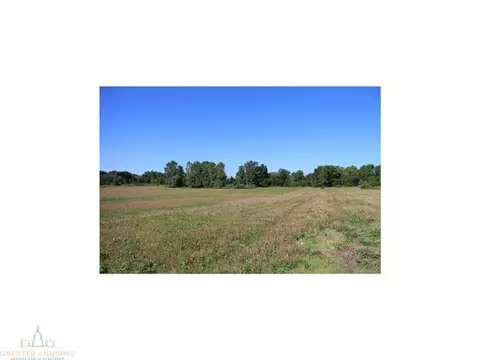 4431 Beeman Rd, Williamston, MI 48895 photo 5