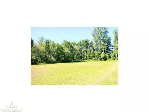 4431 Beeman Rd, Williamston, MI 48895 photo 22