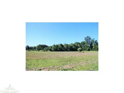 4431 Beeman Rd, Williamston, MI 48895 photo 18