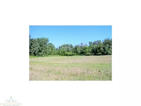 4431 Beeman Rd, Williamston, MI 48895 photo 21