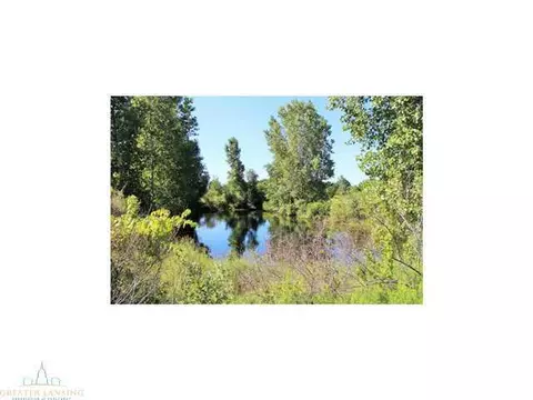 4431 Beeman Rd, Williamston, MI 48895 photo 4