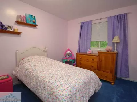 44 Agate Way, Williamston, MI 48895 photo 10