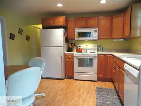 126 E Washington, Dimondale, MI 48821 photo 7