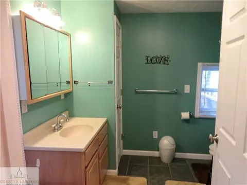 126 E Washington, Dimondale, MI 48821 photo 9