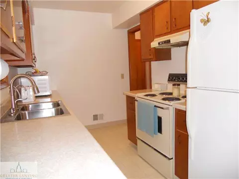 12897 Rambler Rd, Dewitt, MI 48820 photo 13