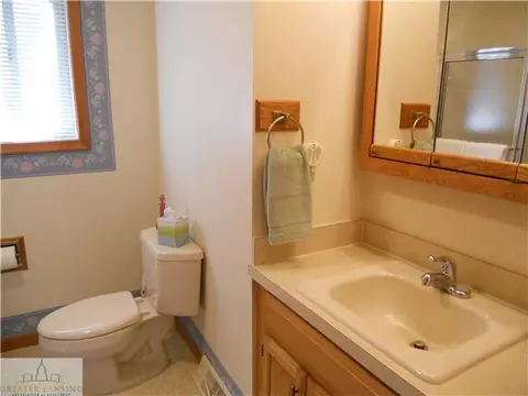 12897 Rambler Rd, Dewitt, MI 48820 photo 19