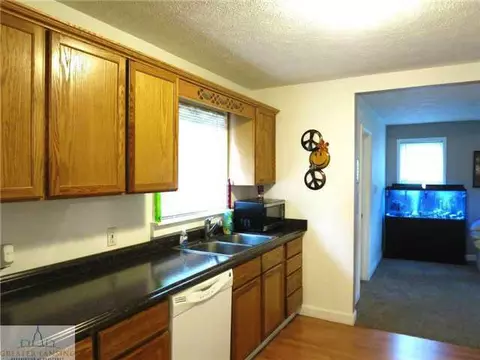 15440 Circle Dr, Bath, MI 48808 photo 13