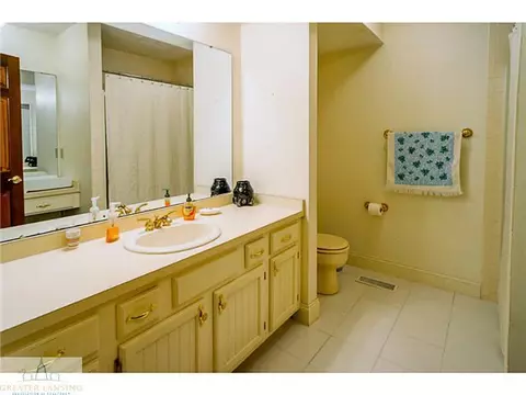310 W Dill, Dewitt, MI 48820 photo 22