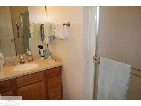 415 Red Cedar Blvd, Williamston, MI 48895 photo 10