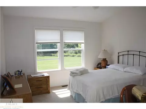 415 Red Cedar Blvd, Williamston, MI 48895 photo 8