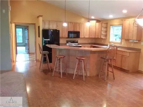 10230 Chadwick Rd, Eagle, MI 48822 photo 4