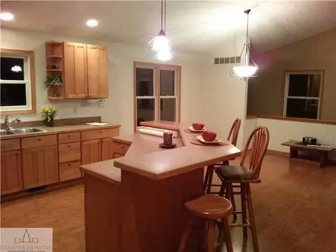 10230 Chadwick Rd, Eagle, MI 48822 photo 5