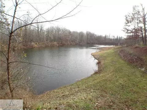 12587 Tustin Way, Dewitt, MI 48820 photo 23