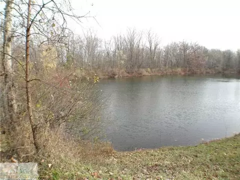 12587 Tustin Way, Dewitt, MI 48820 photo 24