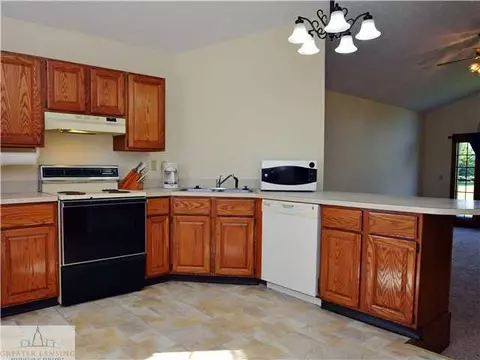 3018 S Dewitt Rd St, Saint Johns, MI 48879 photo 6