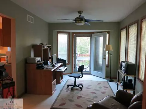 11745 Schavey Rd, Dewitt, MI 48820 photo 4