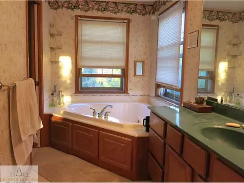 11745 Schavey Rd, Dewitt, MI 48820 photo 12